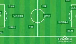 欧冠赛事引发骚乱 法国780人因滋事被捕